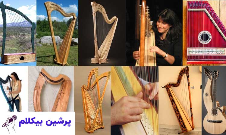 انواع مدل های چنگ