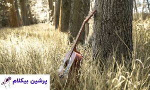 موسیقی بی کلام طبیعت